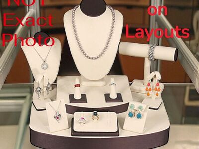 NEW Chippenhook Luxury Jewelry Display