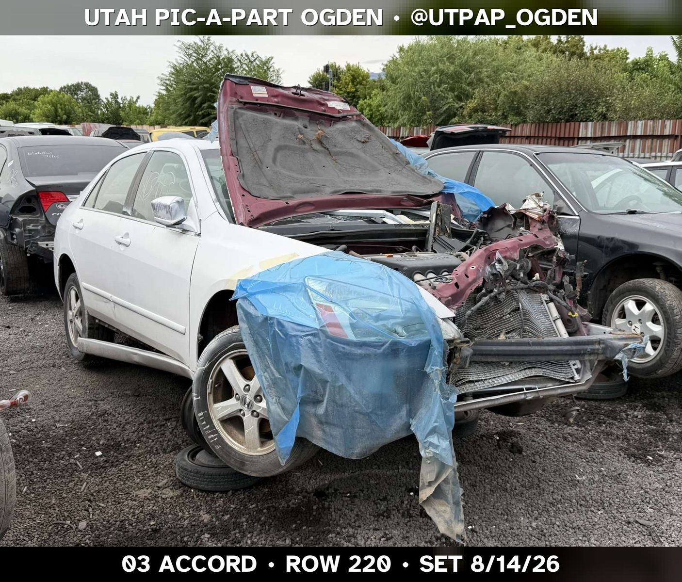 Just In! 2003 Honda Accord Parts - UTPAP Ogden