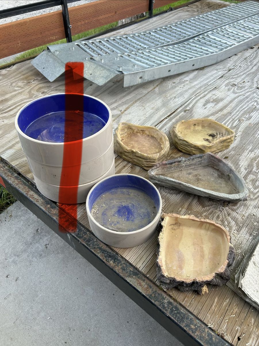 Water/ food bowls