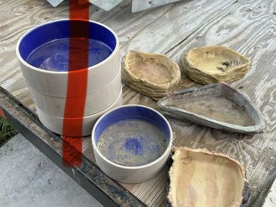 Water/ food bowls
