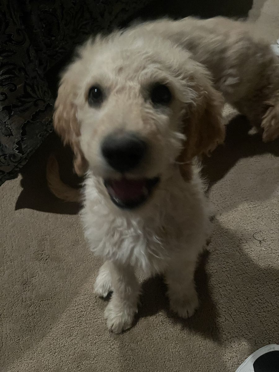 Main image 6