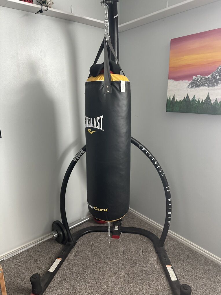 Everlast Punching Bag