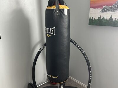 Everlast Punching Bag