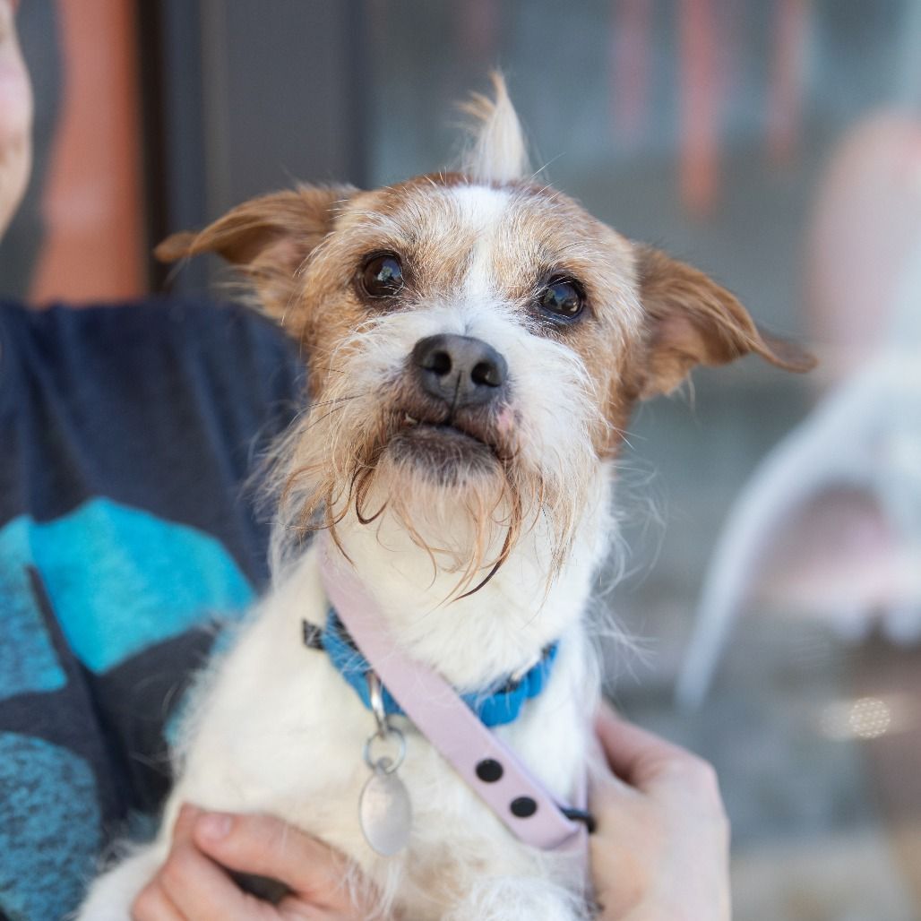 Hello my name is Sheldon