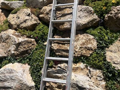 17 ft Aluminum Extension Ladder - Durable Multi-Purpose Ladder for Home & Garden Projects