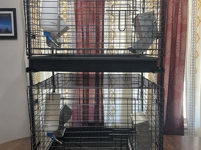 Stackable Rabbit Cages