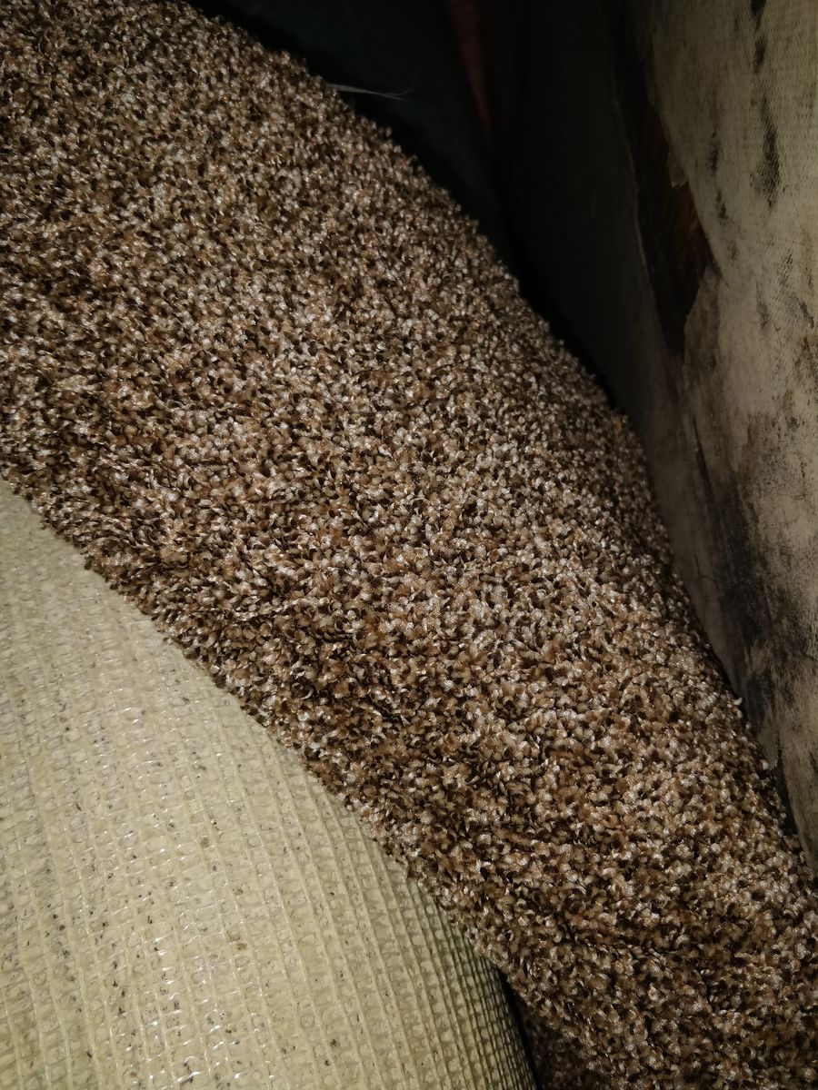 New Carpet Rem big enough to do stairs $110