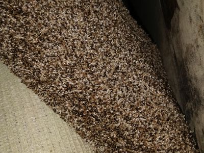 New Carpet Rem big enough to do stairs $110