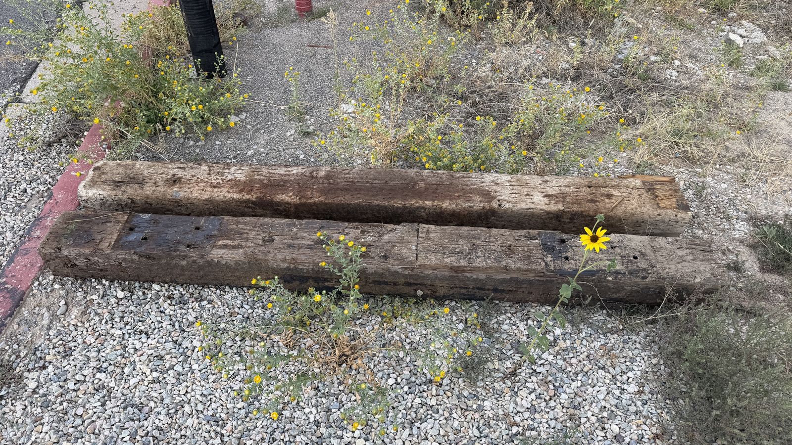 Free railroad ties