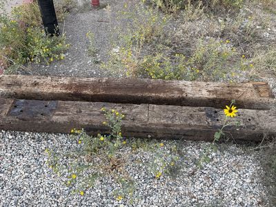 Free railroad ties