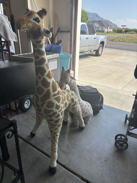 Giraffe and baby giraffe