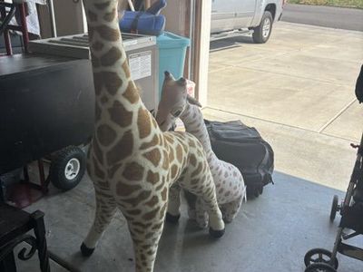 Giraffe and baby giraffe