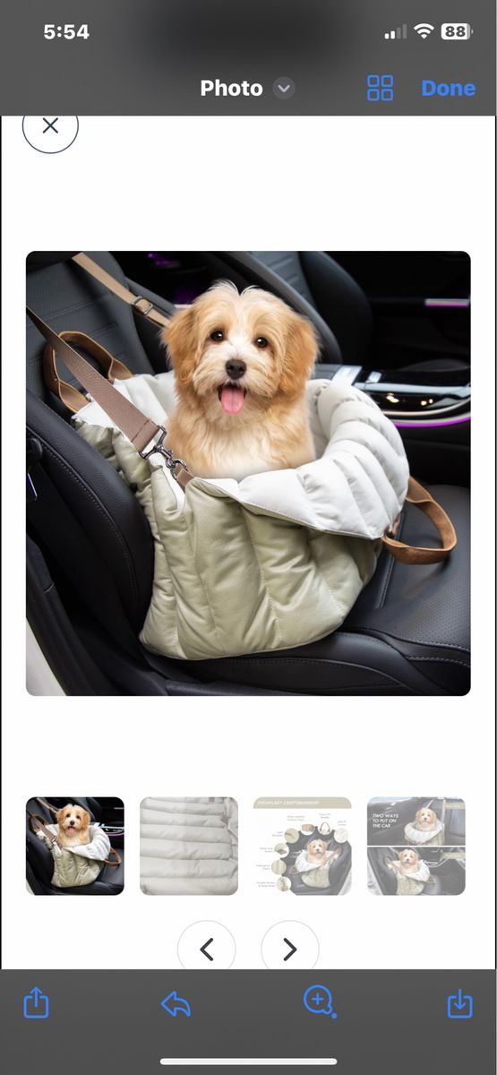 Pet car seat