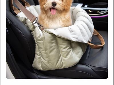 Pet car seat