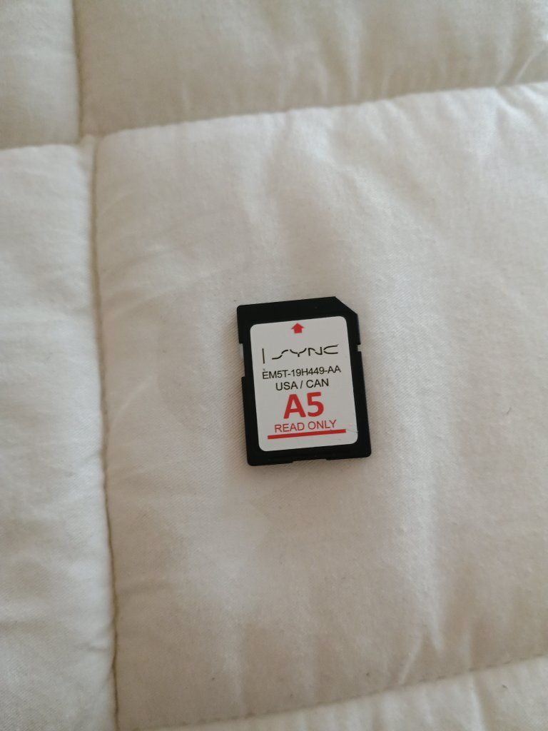 lost and found