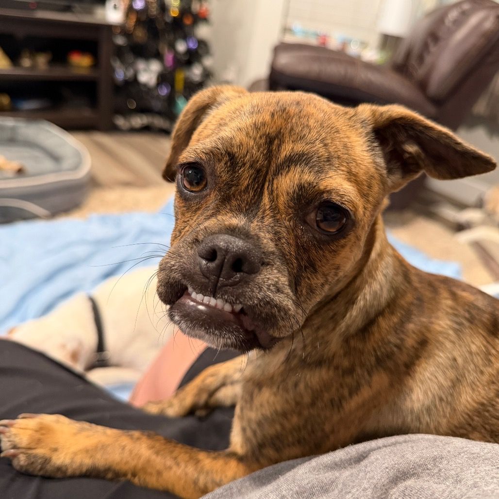 Hello my name is Charlie