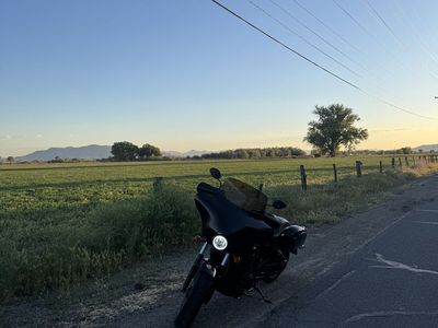 2019 Indian scout 60