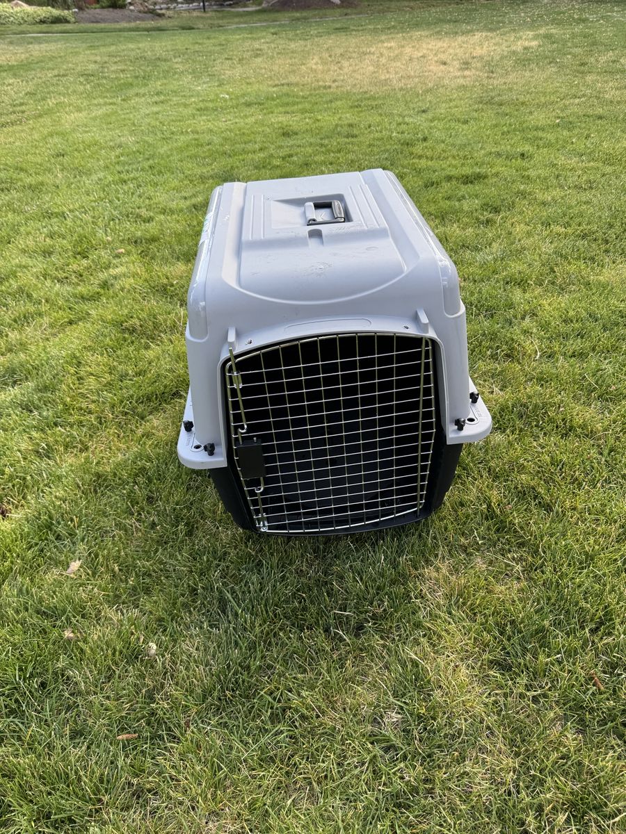 Hard Plastic Pet Carrier Travel Kennel with Metal Wire Door