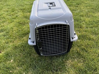 Hard Plastic Pet Carrier Travel Kennel with Metal Wire Door