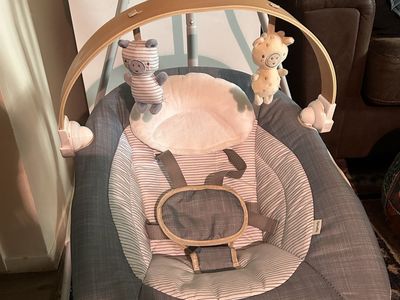 Ingenuity Soothing Baby Swing