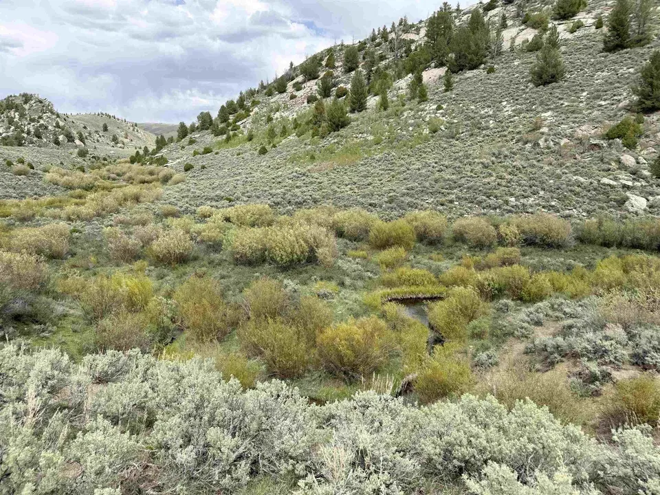 Main image 16