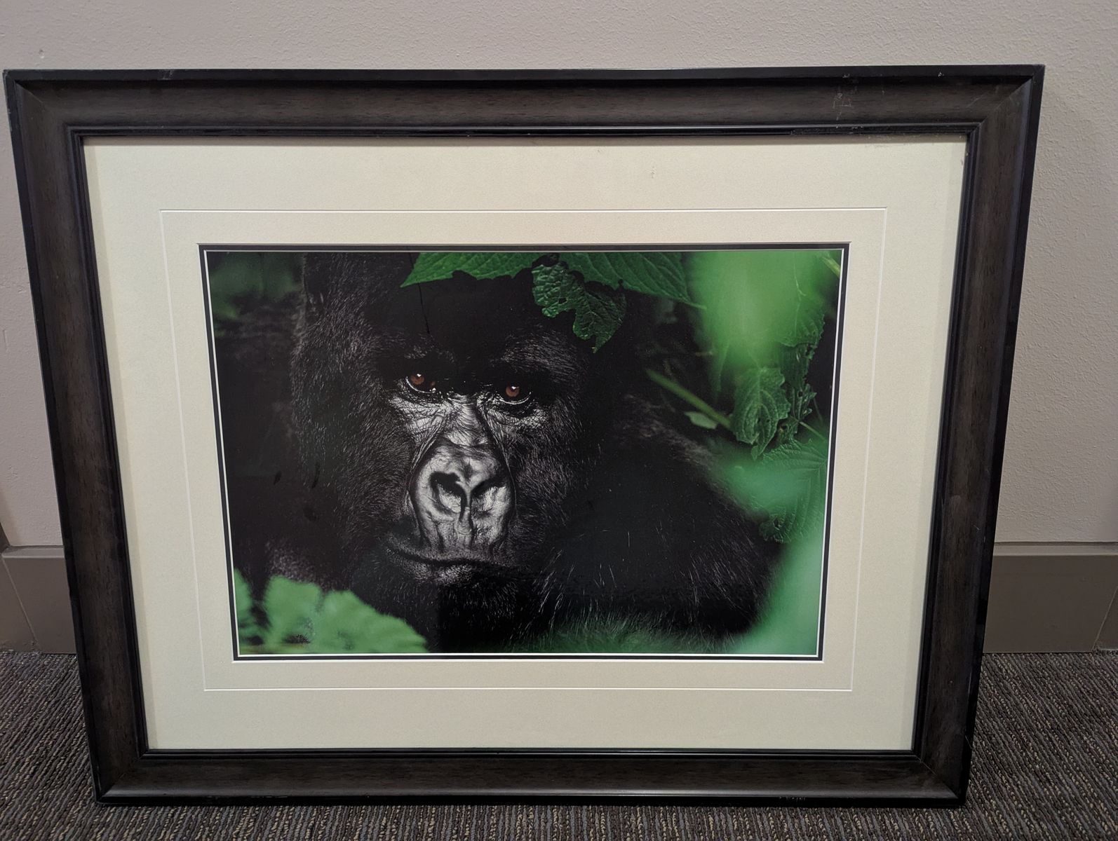 Thomas Mangelsen "Gentle Giant - The Silverback" Limited Edition Framed Print
