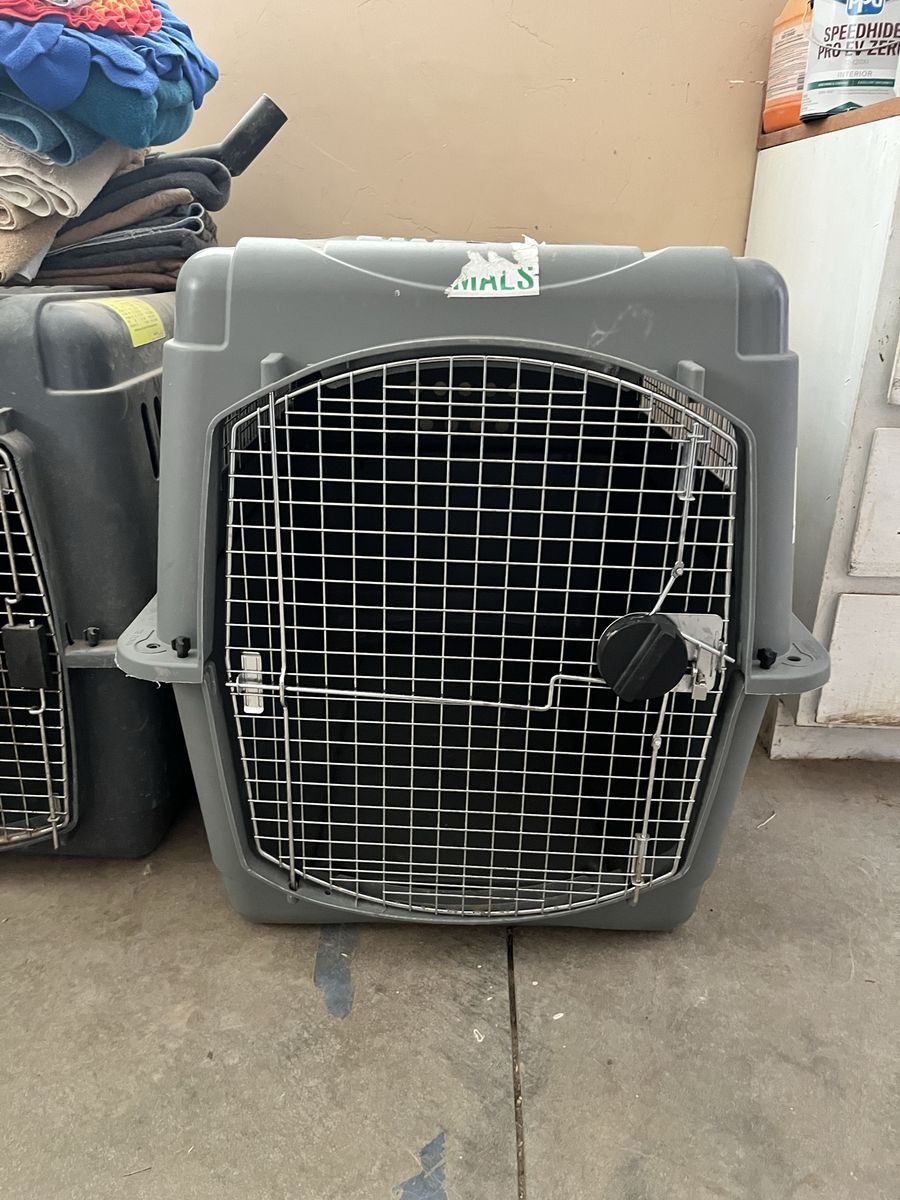 XXL dog crate