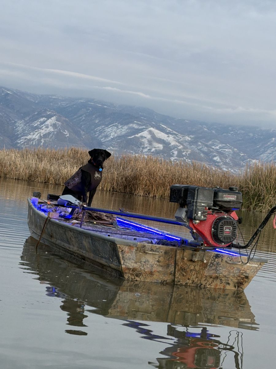14’ duck boat