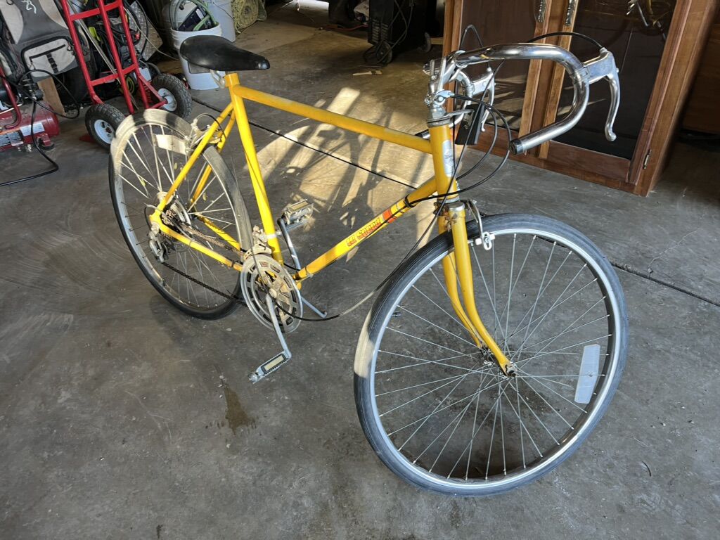 Vintage 10 Speed Western Flyer