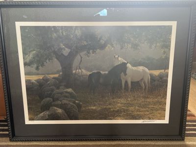 Robert Bateman Horse Print Newly Framed