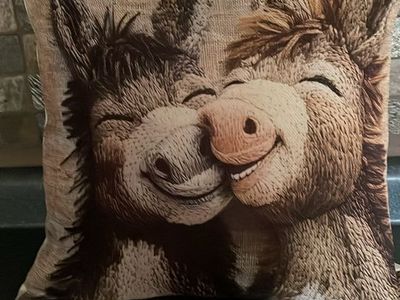 Pillow