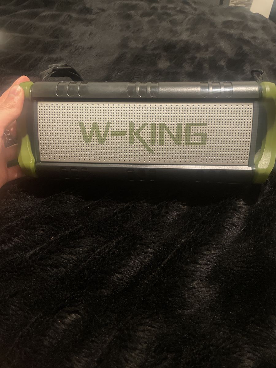 W-King model D8 speaker