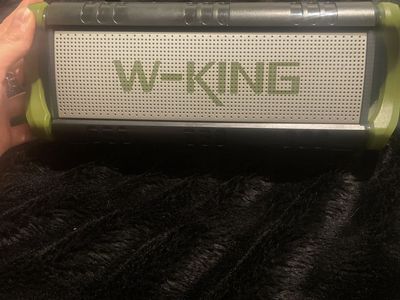 W-King model D8 speaker