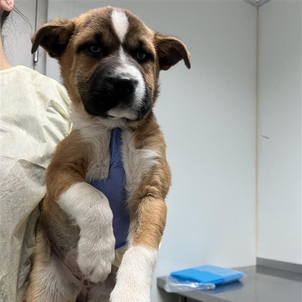 Hello my name is Grace