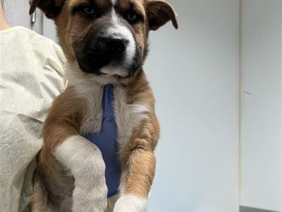 Hello my name is Grace