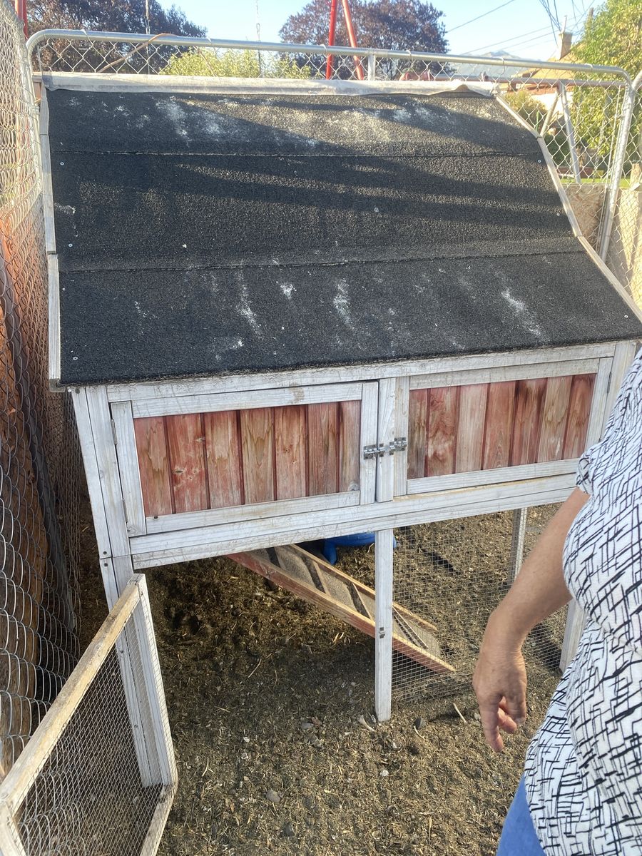 Wooden Outdoor Chicken Coop / Hen House with Ramp