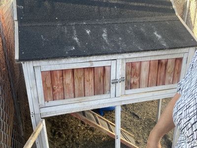 Wooden Outdoor Chicken Coop / Hen House with Ramp