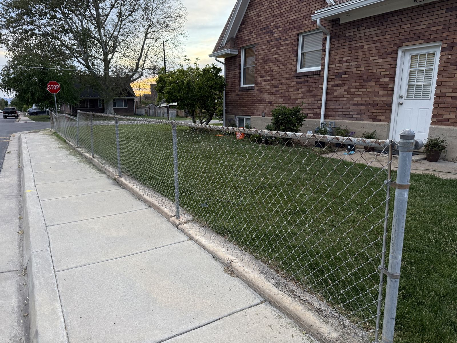 Chain link fence.  Poles cut ready for pick up