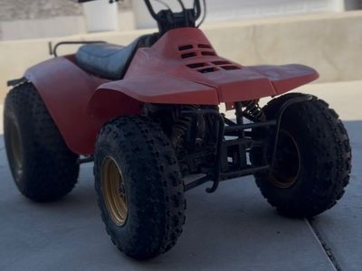 Suzuki quad runner 250cc
