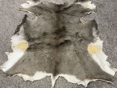 Deer Rug