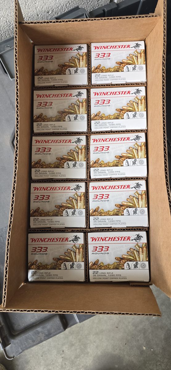 .22LR AMMO