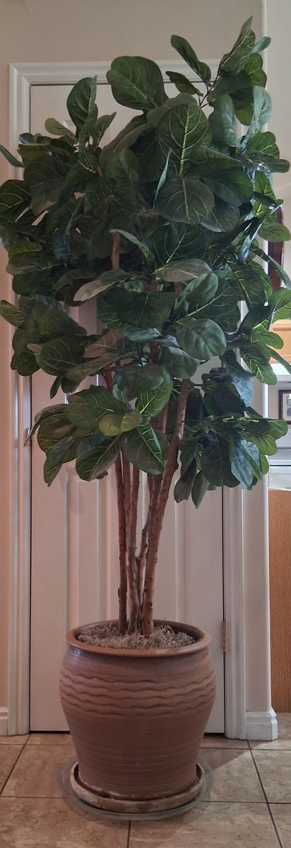 Large Artificial Fiddle Leaf Fig Tree in Ceramic Pot
