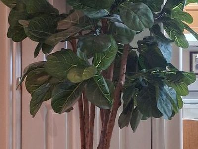 Large Artificial Fiddle Leaf Fig Tree in Ceramic Pot