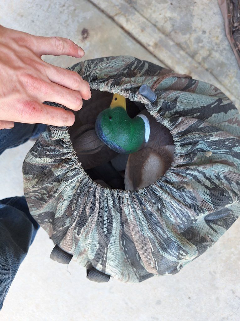 Duck decoys