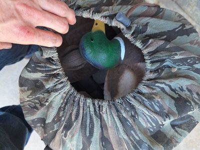 Duck decoys
