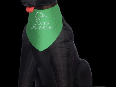 Ducks Unlimited Inflatable Black Lab Dog Outdoor Holiday Decoration