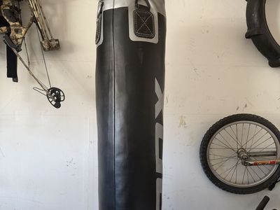 Punching bag with mounting hardware