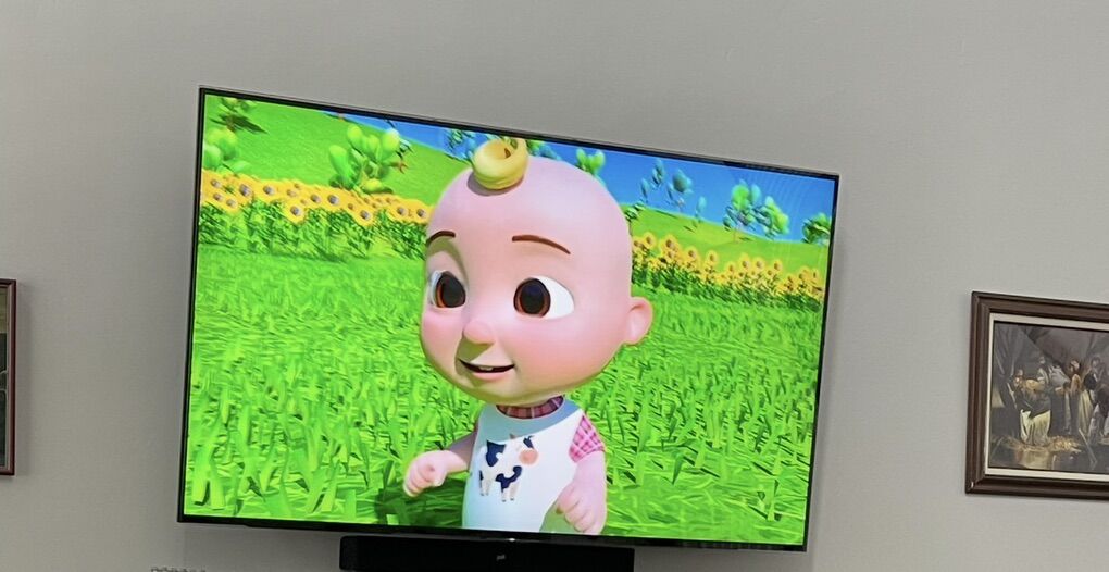 Sony Bravia 75 4K UHD Smart TV (XBR-75X850E)