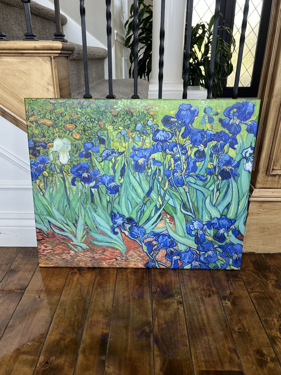 Van Gogh Irises Print Painting Picture