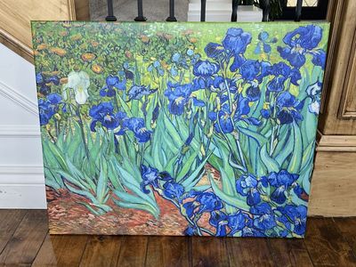 Van Gogh Irises Print Painting Picture